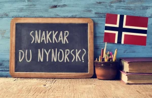 Język norweski w ciekawostkach
