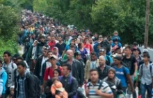 Murzynizacja Europy! Frontex prognozuje wzrost murzyńskiej imigracji