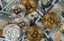 Krajowa krypto waluta na wzór Bitcoin-a –