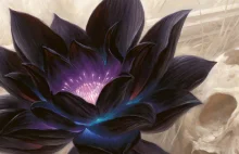 Jedna z najrzadszych kart do Magic: The Gathering’s sprzedana za 87k dolarów