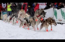 Yukon Quest 2014 - Start