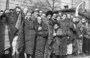 Oswobodzenie KL Auschwitz | Myśl Polska