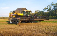 Szukasz Pracy? Jest Praca! W Australii przy zbożu...