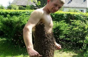 Tańczący z pszczołami. Niezwykły wyczyn pszczelarza z Moszczanki
