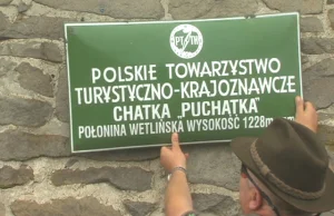 Komornik na Połoninie Wetlińskiej