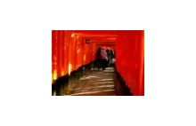 Tunele Torii w Japonii