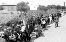 Powstanie Warszawskie: deportacje warszawiaków do Auschwitz