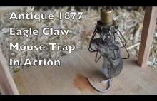 Zabytkowa pułapka na myszy z roku 1877