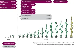 Uprawa zboża - jaki nawóz wybrać?