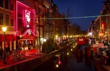 Amsterdam w nocy zamienia się w dżunglę