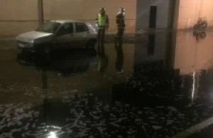 Winna powódź w Sete w Francji, 50'000 litrów wina na ulicy.