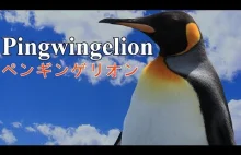 Pingwingelion