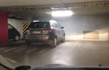 mistrzyni parkowania