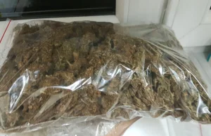 Policjanci zabezpieczyli blisko 1 kg marihuany