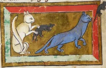 Koty ze średniowiecznych rękopisów [galeria]