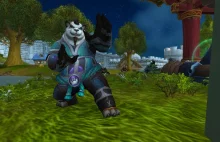 Pierwszy neutralny gracz World of Warcraft z 90 poziomem doświadczenia