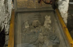Niesamowite zdjęcia mumii z krakowskiego klasztoru [ZDJĘCIA]