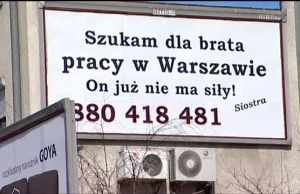 Nie znajdziesz pracy bez... znajomości