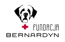 Bernardyn Fundacja Zwierząt Skrzywdzonych