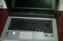 Bezkarna kradzież laptopa. Bardzo proszę o pomoc!