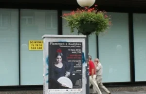 Ćwierć miliona trzeba wydać na sprzątanie nielegalnych plakatów.