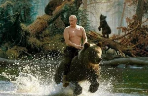 Koniec kpin z Putina? Rosyjski urząd walczy z internetowymi memami