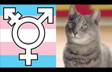 Lewicowa aktywistka wychowuje swoje koty "neutralnie płciowo"
