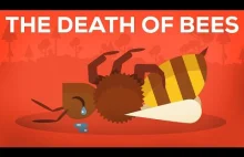 The Death Of Bees Explained – Parasites, Poison and Humans [eng]