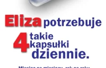 Źródło wiosennej sprężyny - na ile logo 'Polski' jest polskie
