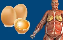 Sprawdź jak jedzenie dwóch jajek dziennie wpływa na twoje ciało