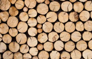 Rząd przyjął projekt ustawy o lasach: nielegalny import drewna będzie utrudniony