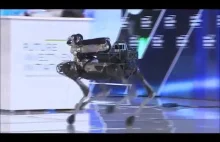 Boston Dynamics: The Coming Robot Revolution - Marc Raibert