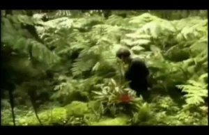 Joe Rogan and The Momentum of Ideas