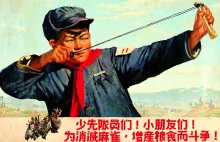 60 lat temu Chińczycy wypowiedzieli wojnę wróblom.