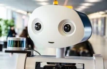 KLM testuje robota do obsługi pasażerów