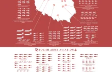 Polskie lotnictwo wojskowe w infografice, wprost z blogu CIGeography [ENG]