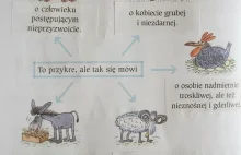 Idiotyzmy z podręczników szkolnych.