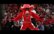 Benny The Bulls - najciekawsza maskotka NBA