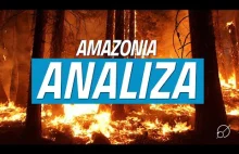 Amazonia w ogniu fake...