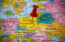 Polskie firmy globalne jak Nestle i Microsoft | Polski Ślad