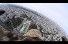 POV Orzeł nyurkuje z wierzy Eiffel Tower przy 111 mph