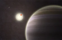 Planeta okołopodwójna w systemie czterech gwiazd