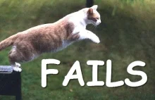 Koty nie potrafią skakać