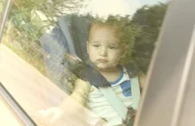 Dziecko lub zwierzę zamknięte w samochodzie w trakcie upałów - co można...