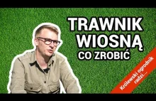 Trawnik wiosną - co trzeba zrobić?