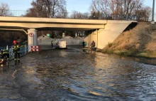 Tarnów jak Wenecja. Prawie...