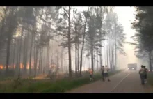 Pożar lasu z bliska
