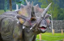 Park dinozaurów, czyli pomysł na weekend z dzieckiem