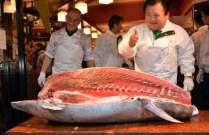 Tuńczyk ważył 230 kg. Zapłacono za niego fortunę