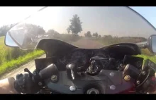 suzuki hayabusa acceleration